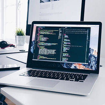 躺平最安全了 ……